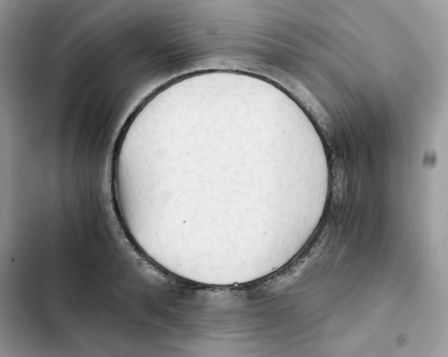 X0000101950896200808151250