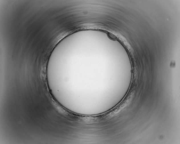 X0000101950897200808151250
