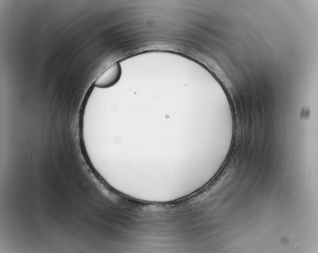 X0000101950898200808151250