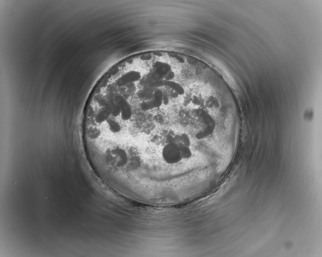X0000101950899200808151250