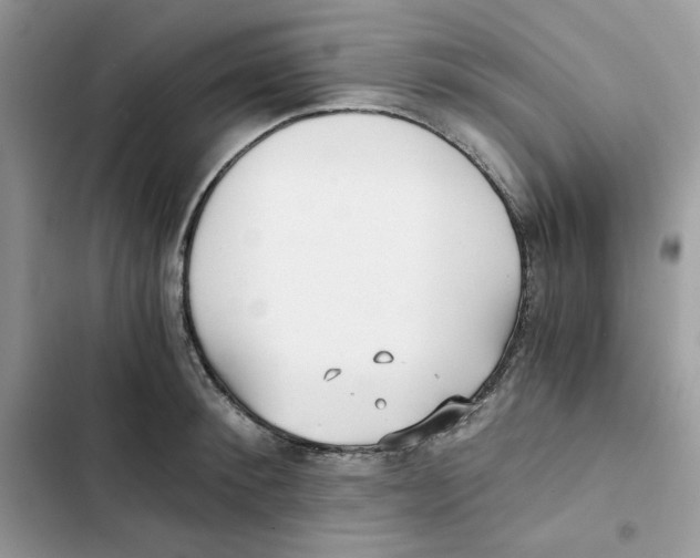 X0000101950900200808151250