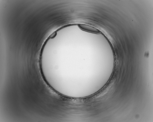 X0000101950901200808151250