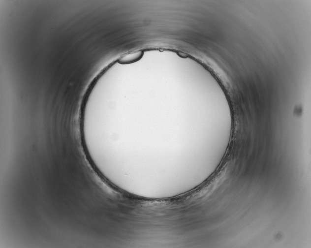 X0000101950902200808151250