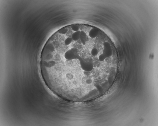 X0000101950903200808151250