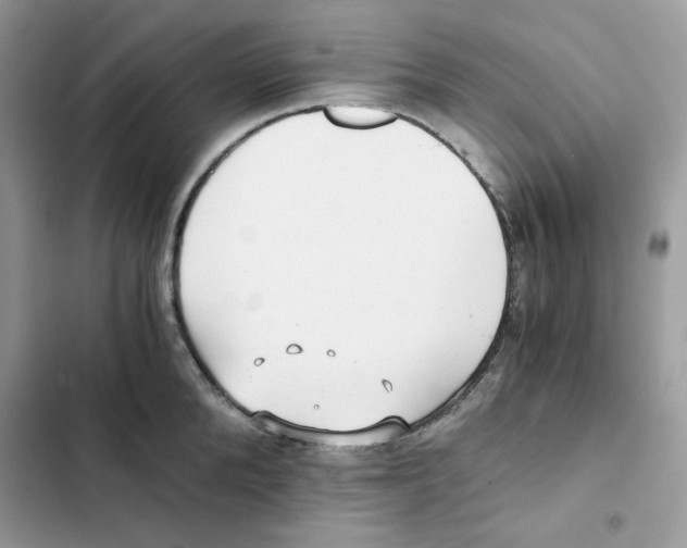 X0000101950904200808151250