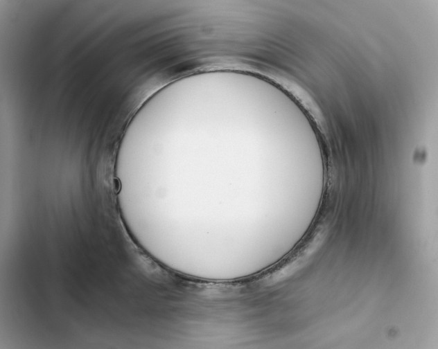 X0000101950905200808151250