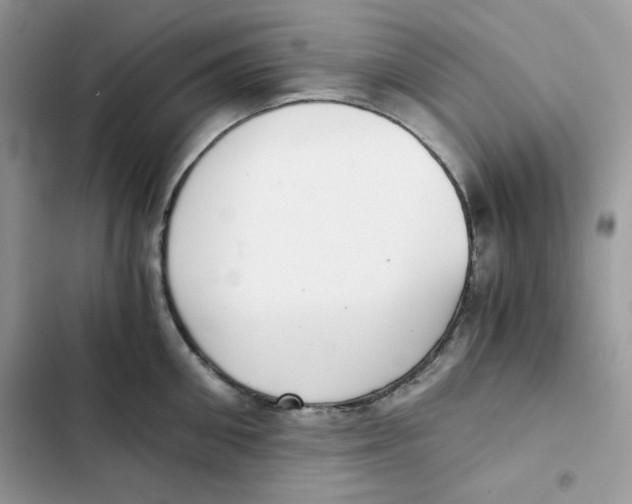 X0000101950906200808151250