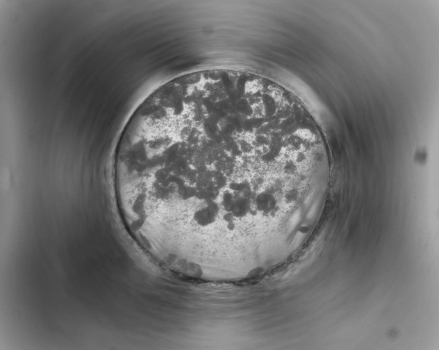 X0000101950907200808151250