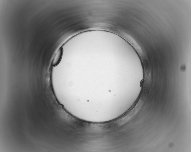 X0000101950908200808151250