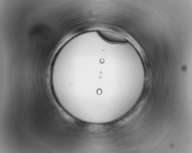 X0000101950909200808151250