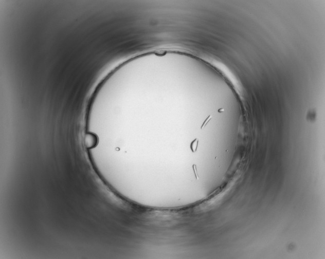 X0000101950910200808151250