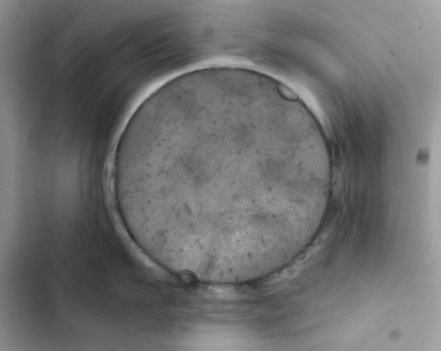 X0000101950911200808151250