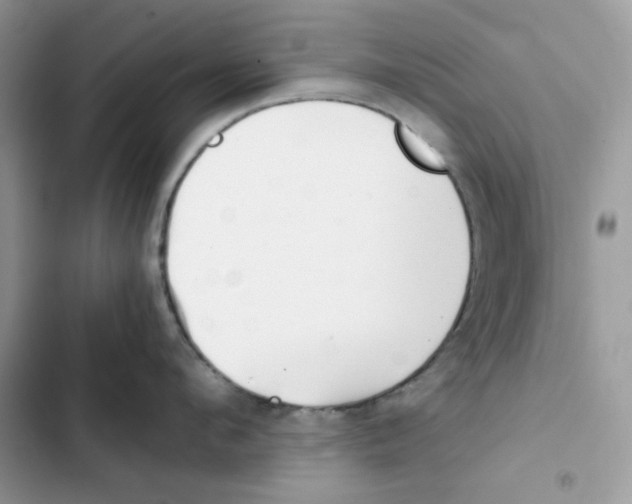 X0000101950912200808151250