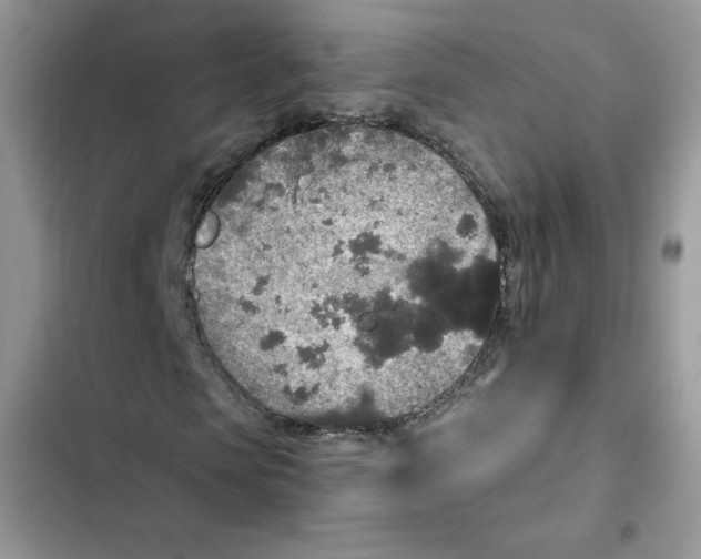 X0000101950913200808151249
