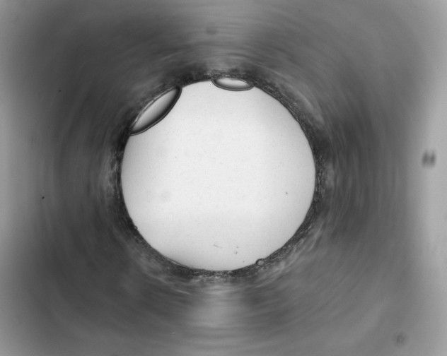 X0000101950914200808151249