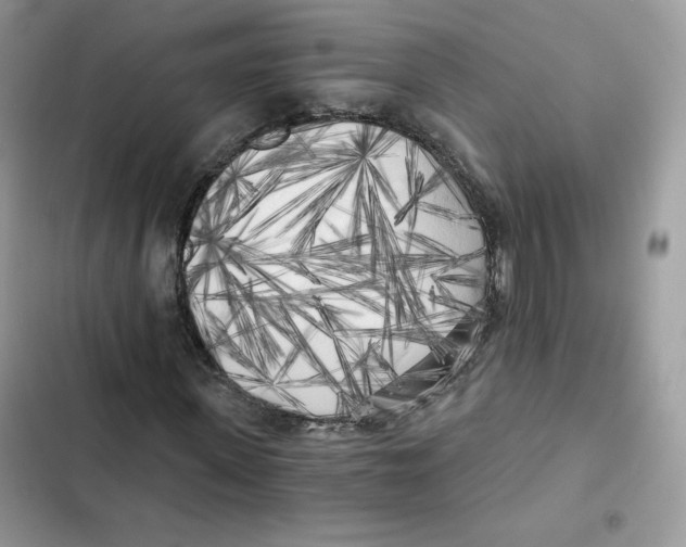 X0000101950915200808151249