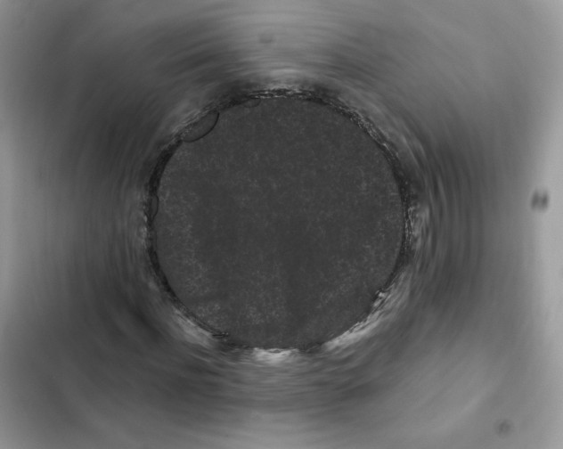 X0000101950916200808151249