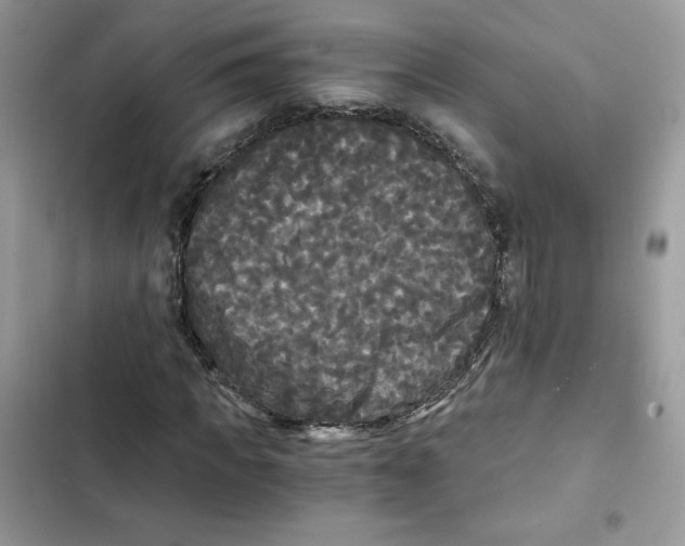 X0000101950917200808151249