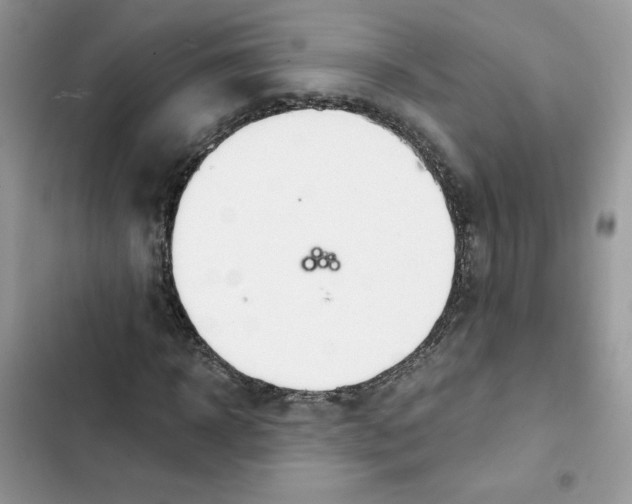 X0000101950918200808151249