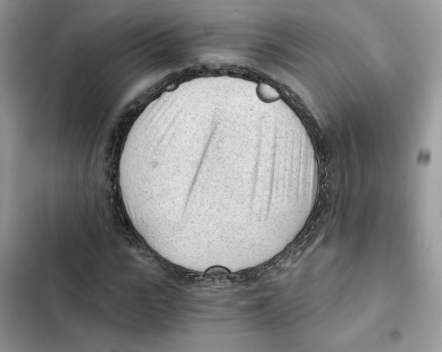 X0000101950919200808151249