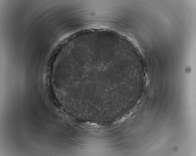 X0000101950920200808151249