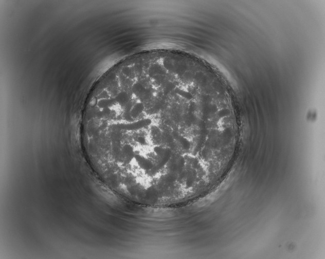 X0000101950921200808151249