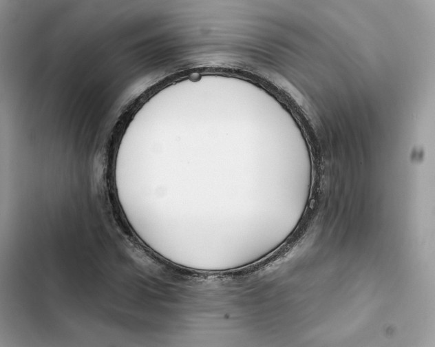 X0000101950922200808151249