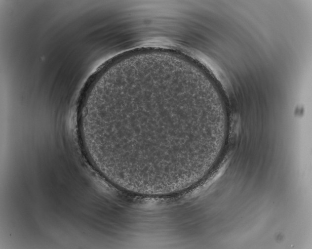 X0000101950923200808151249