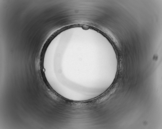 X0000101950924200808151249