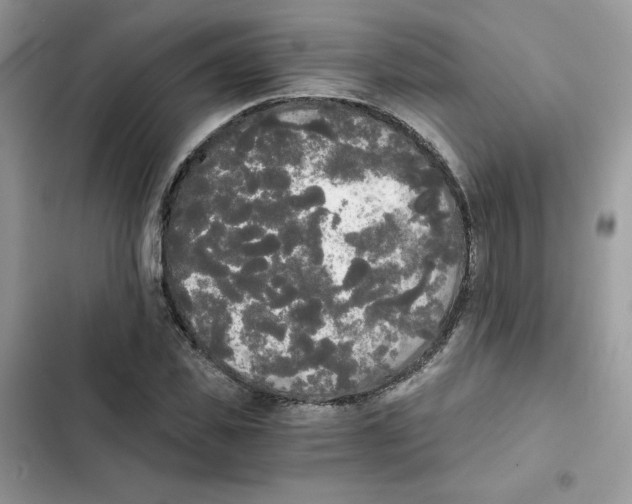 X0000101950925200808151249