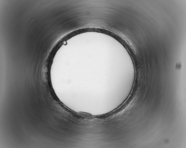 X0000101950926200808151249