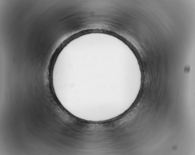 X0000101950927200808151249