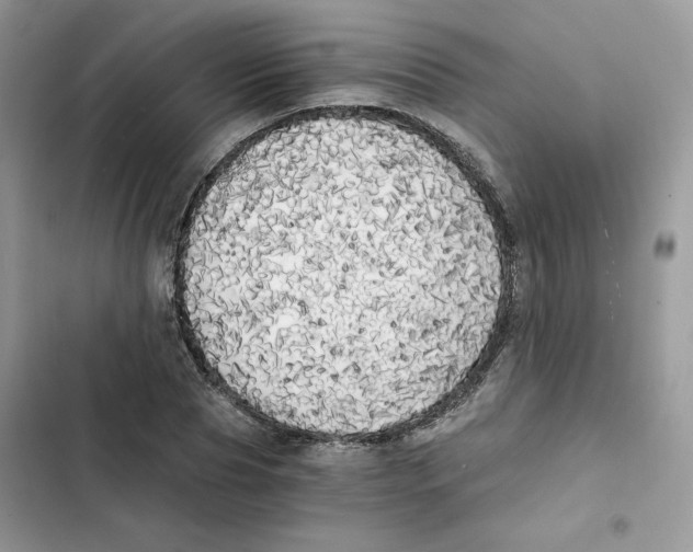 X0000101950929200808151249
