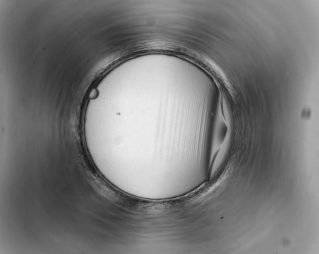 X0000101950930200808151249