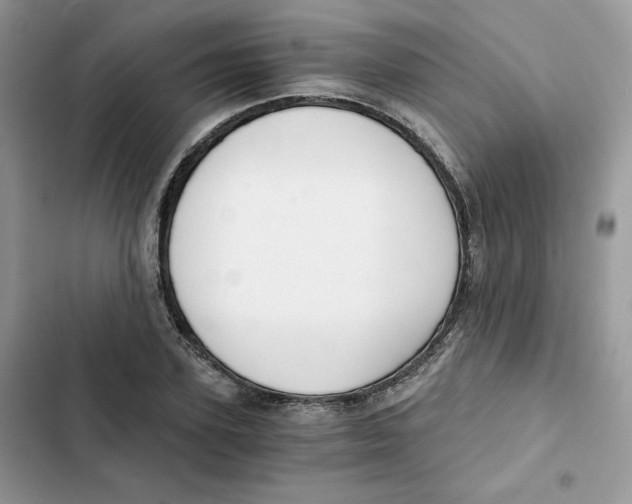 X0000101950931200808151249