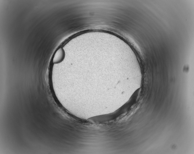 X0000101950932200808151249