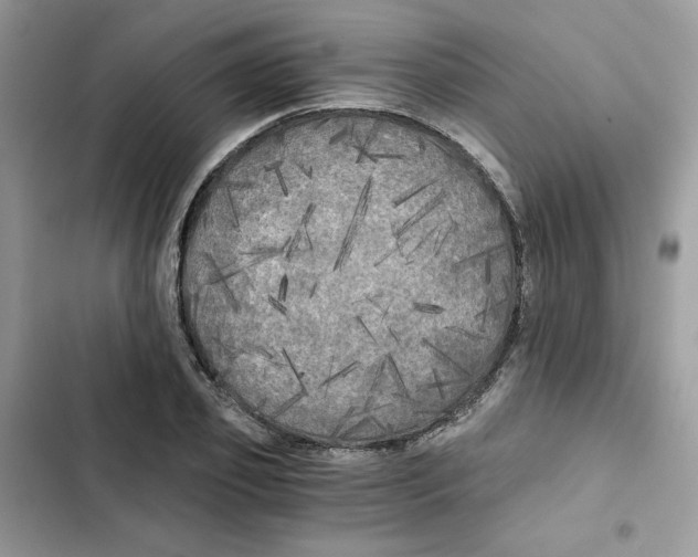 X0000101950933200808151249