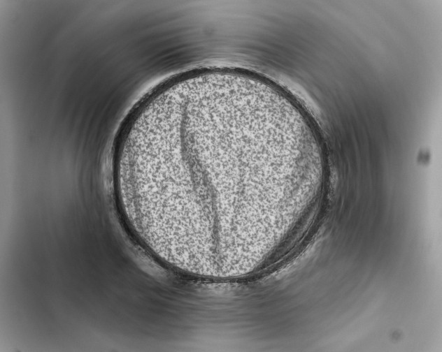 X0000101950934200808151249