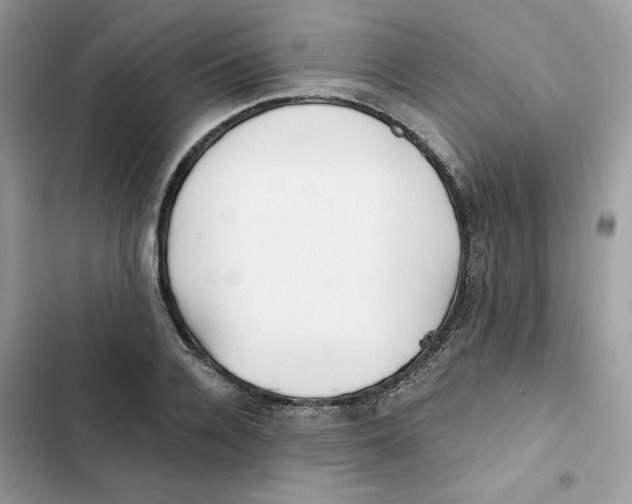 X0000101950936200808151249