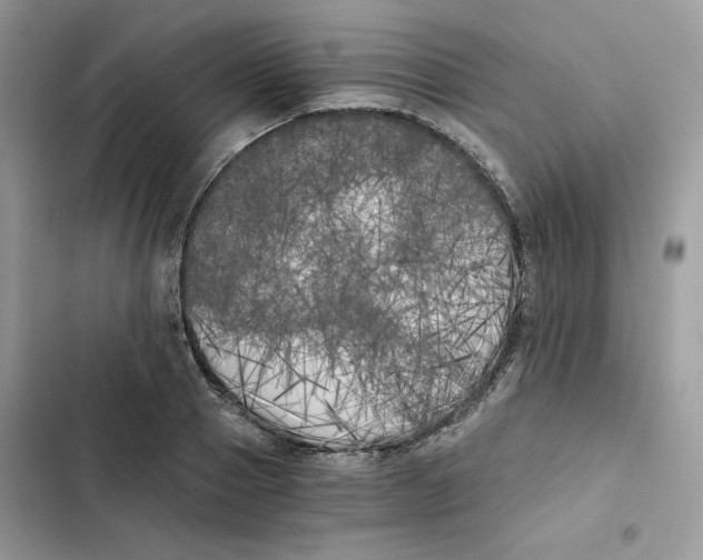 X0000101950937200808151249