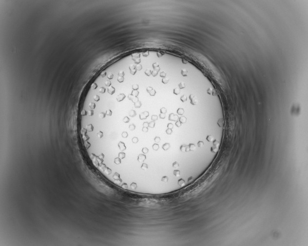 X0000101950938200808151249