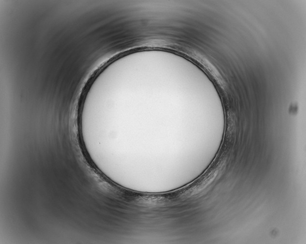 X0000101950939200808151249