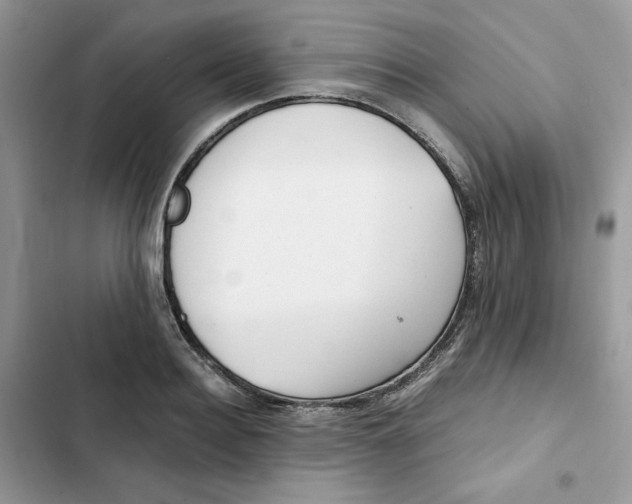 X0000101950940200808151249