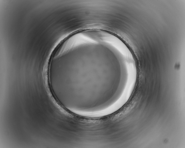 X0000101950941200808151249