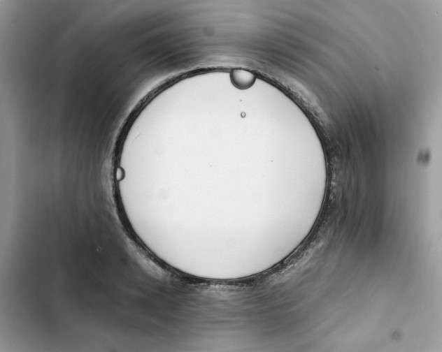 X0000101950942200808151250