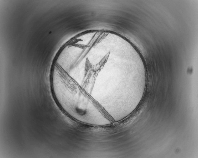 X0000101950943200808151250