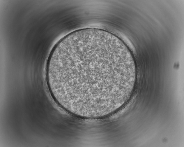 X0000101950944200808151250