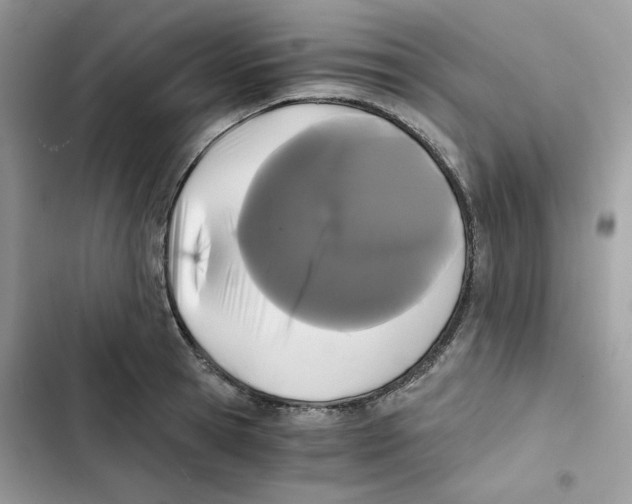 X0000101950945200808151250