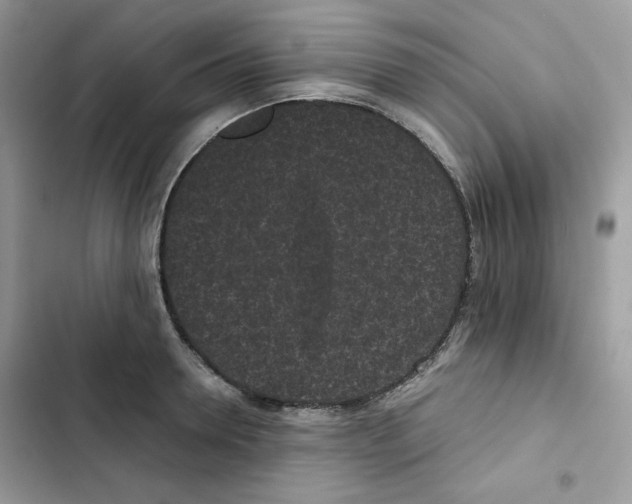 X0000101950946200808151250