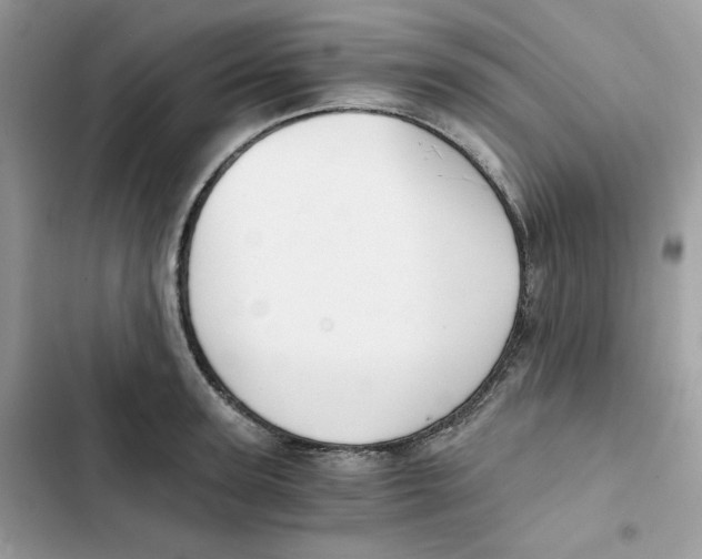 X0000101950947200808151250